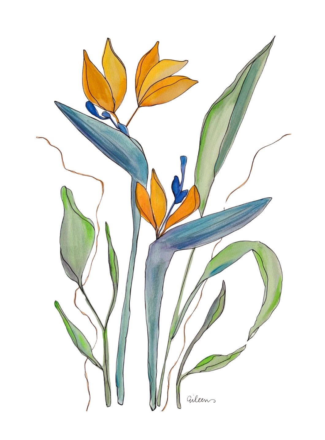 Birds of Paradise Watercolor Flowers